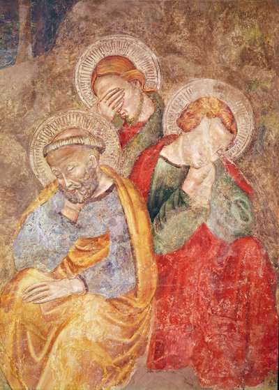 Apostoli sul Monte degli Ulivi da Giotto di Bondone